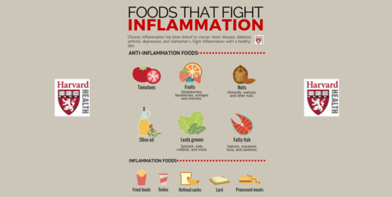 Harvard health recognizes the impact of inflammation caused by dietary choices.
